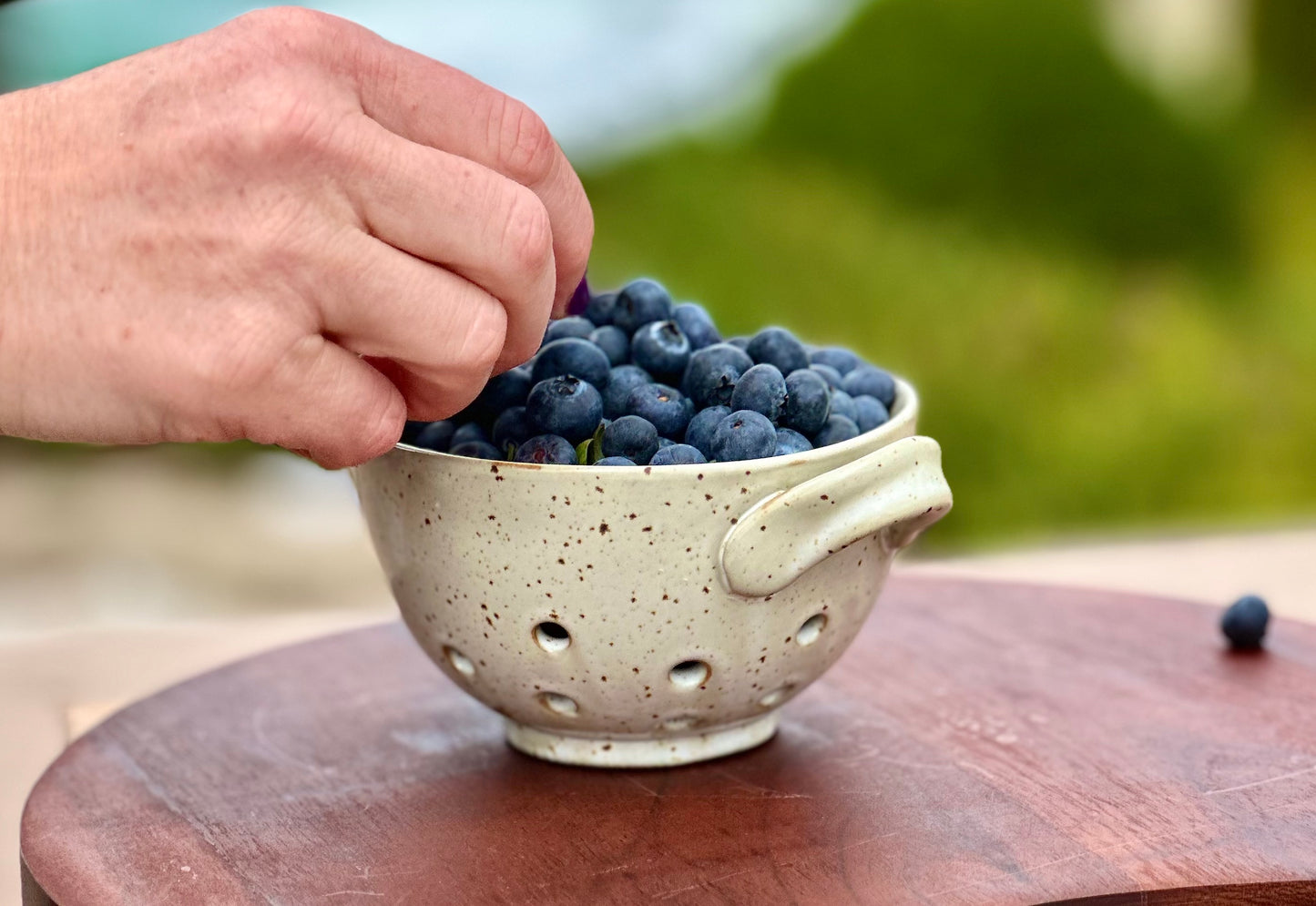 Berry Bowl Stoneware with Handles