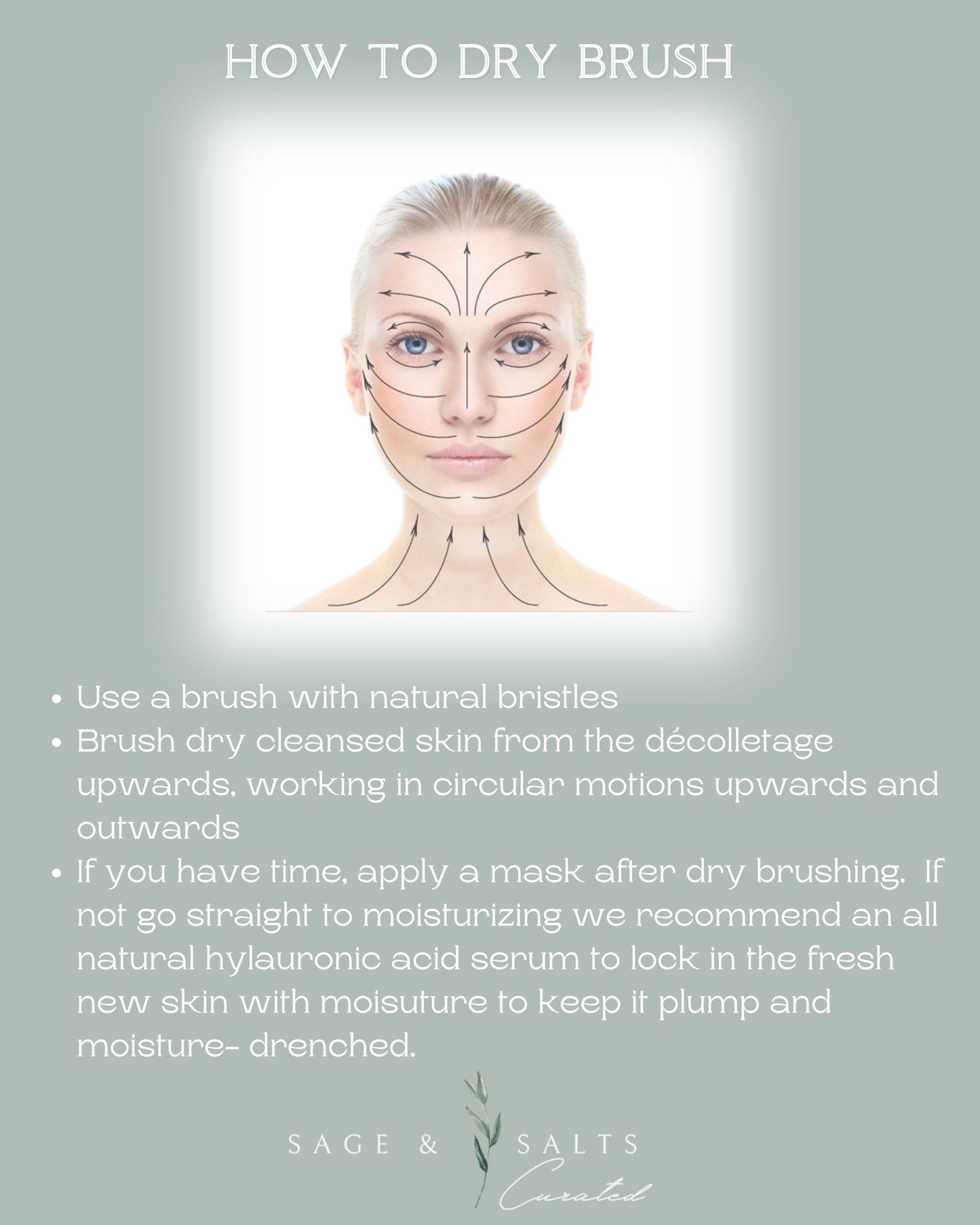 Dry Face Brush